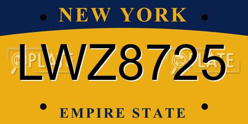 LWZ8725 New York License Plate