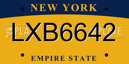 LXB6642 New York License Plate