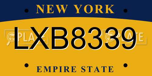 LXB8339 New York License Plate