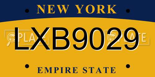 LXB9029 New York License Plate