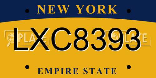 LXC8393 New York License Plate