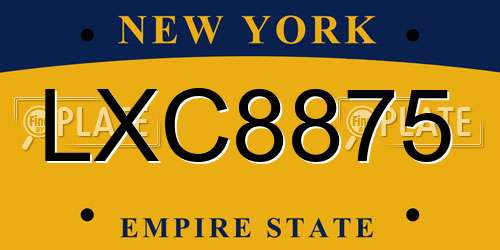 LXC8875 New York License Plate