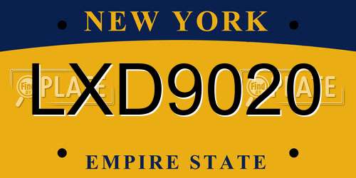 LXD9020 New York License Plate