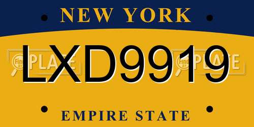 LXD9919 New York License Plate