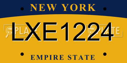 LXE1224 New York License Plate