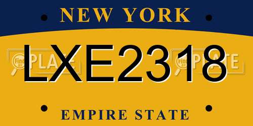 LXE2318 New York License Plate