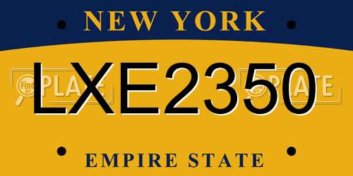 LXE2350 New York License Plate