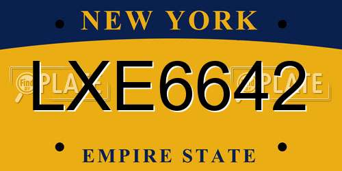LXE6642 New York License Plate