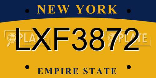 LXF3872 New York License Plate