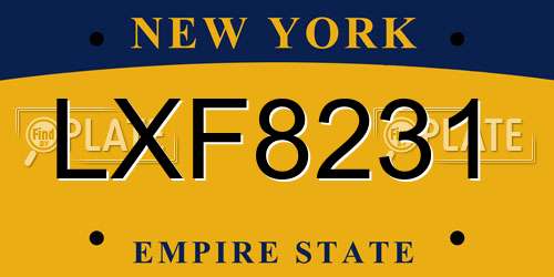 LXF8231 New York License Plate