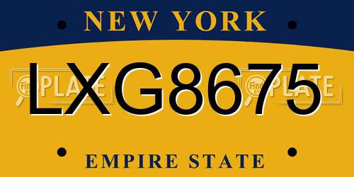 LXG8675 New York License Plate