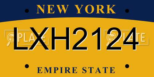 LXH2124 New York License Plate