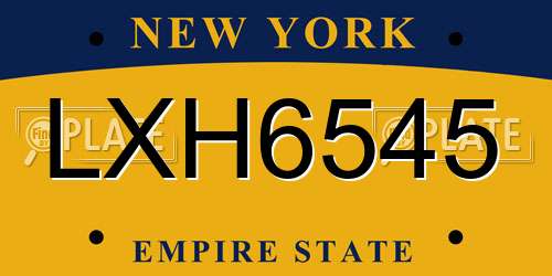 LXH6545 New York License Plate