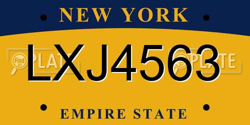 LXJ4563 New York License Plate