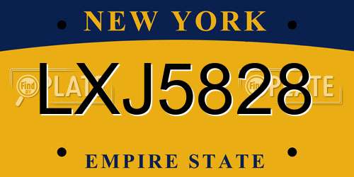 LXJ5828 New York License Plate