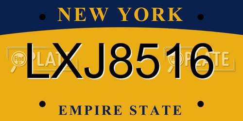 LXJ8516 New York License Plate