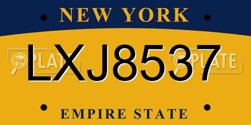 LXJ8537 New York License Plate