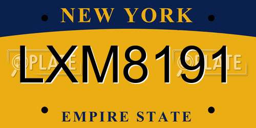 LXM8191 New York License Plate