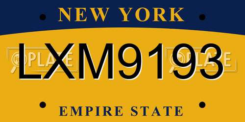 LXM9193 New York License Plate