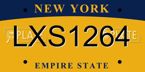LXS1264 New York License Plate