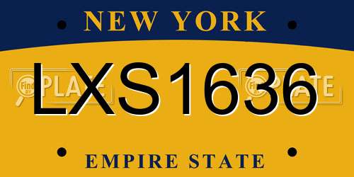 LXS1636 New York License Plate