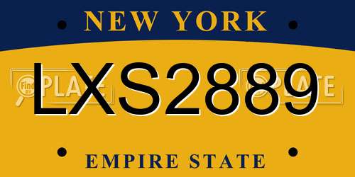 LXS2889 New York License Plate