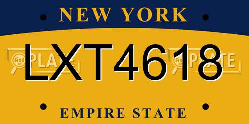 LXT4618 New York License Plate