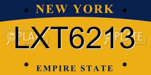 LXT6213 New York License Plate