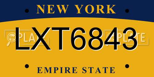 LXT6843 New York License Plate