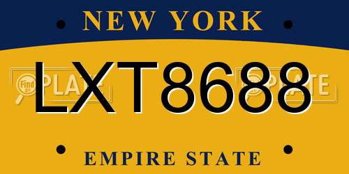LXT8688 New York License Plate