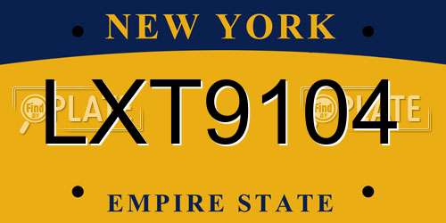 LXT9104 New York License Plate