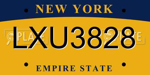 LXU3828 New York License Plate