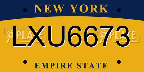 LXU6673 New York License Plate