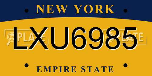 LXU6985 New York License Plate