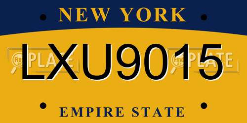 LXU9015 New York License Plate