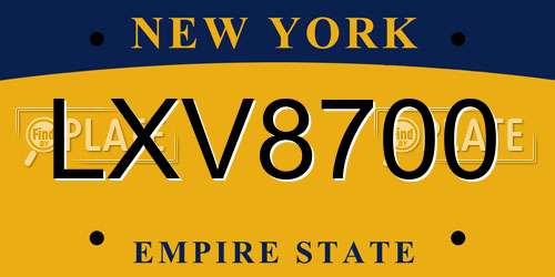LXV8700 New York License Plate