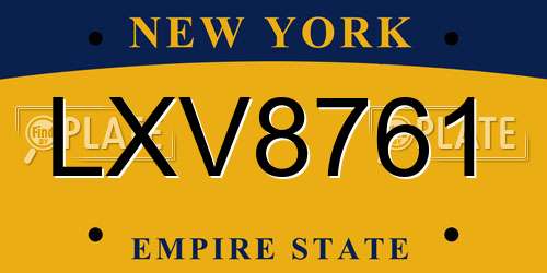 LXV8761 New York License Plate
