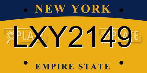LXY2149 New York License Plate