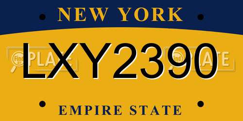 LXY2390 New York License Plate