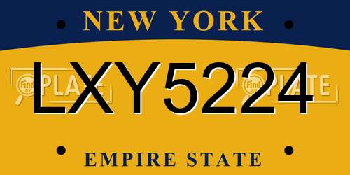 LXY5224 New York License Plate