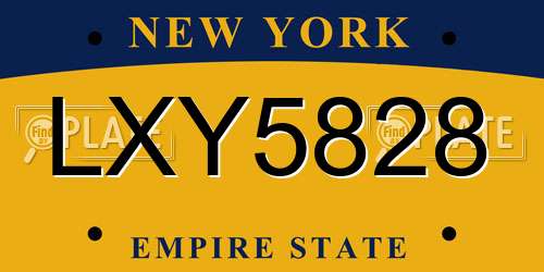LXY5828 New York License Plate
