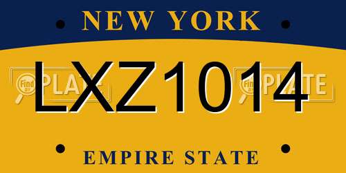 LXZ1014 New York License Plate