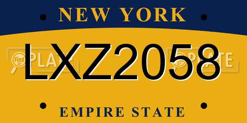 LXZ2058 New York License Plate