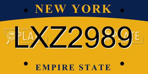 LXZ2989 New York License Plate
