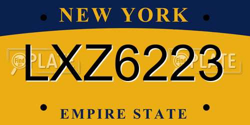 LXZ6223 New York License Plate
