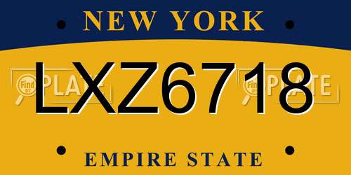 LXZ6718 New York License Plate