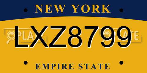 LXZ8799 New York License Plate