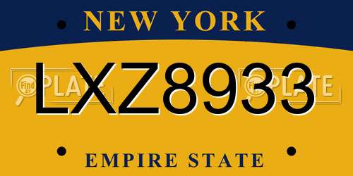 LXZ8933 New York License Plate