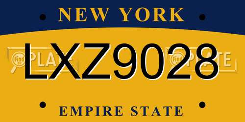 LXZ9028 New York License Plate