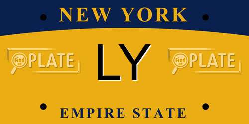 LY New York License Plate